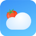 番茄天气APP下载-番茄天气最新版本下载v2.0.0 