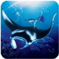 蝠鲼模拟器游戏(the manta rays)汉化安卓版v1.0.3安卓版